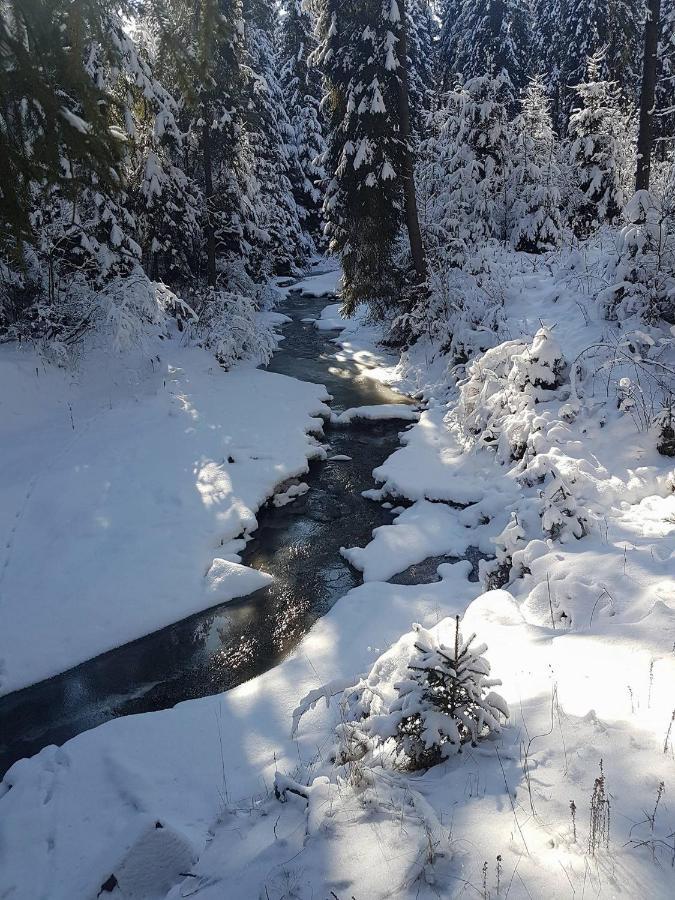 Skalny Zakatek Z Grota Solna Na Wylacznosc Łapsze Niżne エクステリア 写真