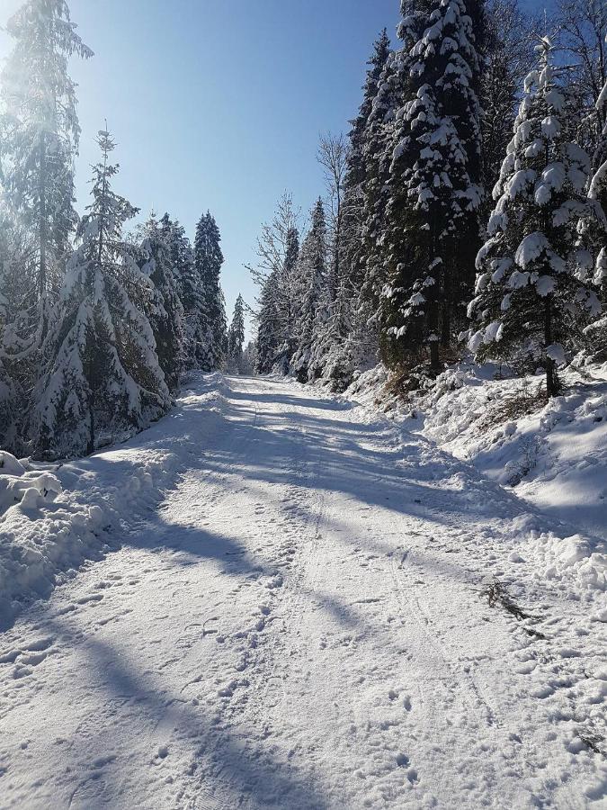 Skalny Zakatek Z Grota Solna Na Wylacznosc Łapsze Niżne エクステリア 写真